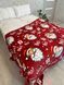 Плед флісовий різдвяний/новорічний Санта-Клаус/Santa-Claus червоний Євро розмір Santa Claus фото 1